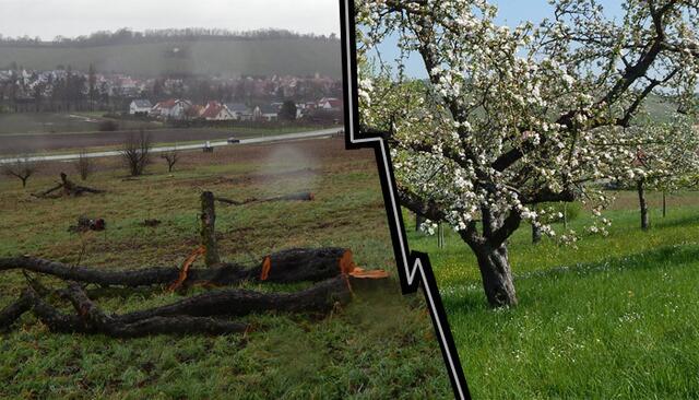 P.Kochert Nachher Vorher