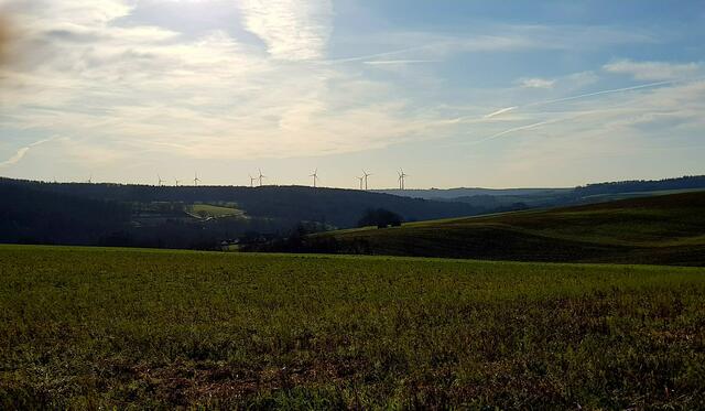 Blick zum Windpark Harthäuser Wald