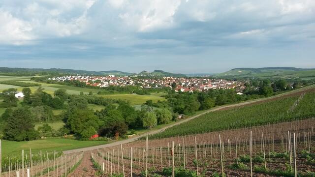 Das Ellbachtal