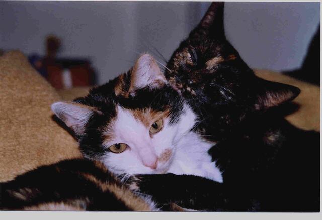 Inka und Maya | Foto: Daniela Somers