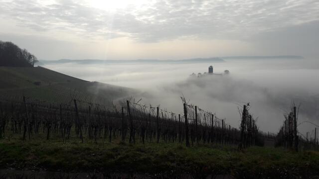 Morgenstimmung über Beilstein am 26.01.2020