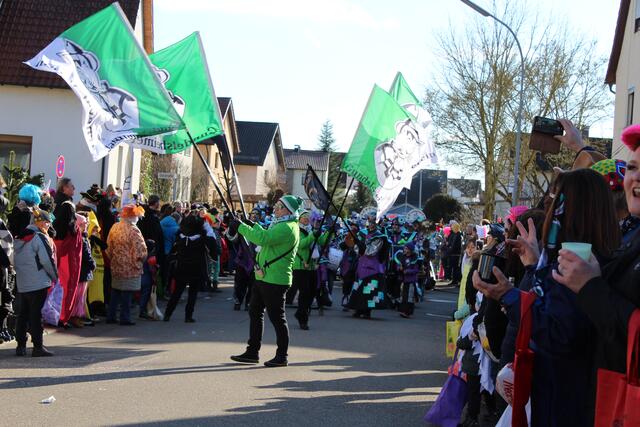 Großer Faschingsumzug in Gundelsheim