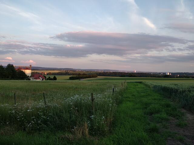 Juni in Obergriesheim - Blick Richtung Heilbronn