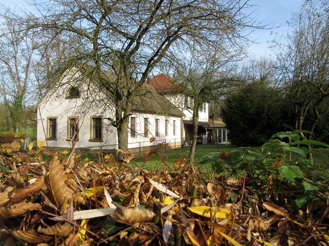 Correll'sche Hammerschmiede, 2017 Stadtteilwanderung zum Frankenbacher Schotter