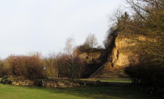 Löswand im Böckinger Ziegeleipark - Biotop und geologisches Fenster in die Eiszeit. Wichtig für die Wildbienen.