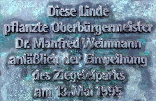 Hier die Auflösung -  Oberbürgermeister Weinmann pflanzte sie zur Einweihung des Parks