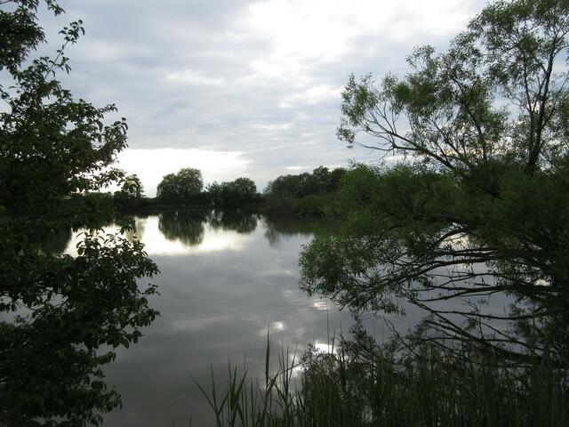 Auf den Spuren des Bibers am See in Neuenstadt-Stein