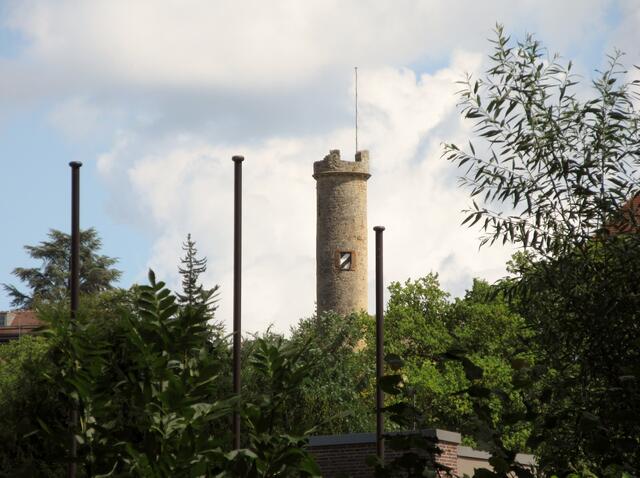 Blick auf die Burg, Aufnahme entstand bei der Lesersommerwanderung 2017