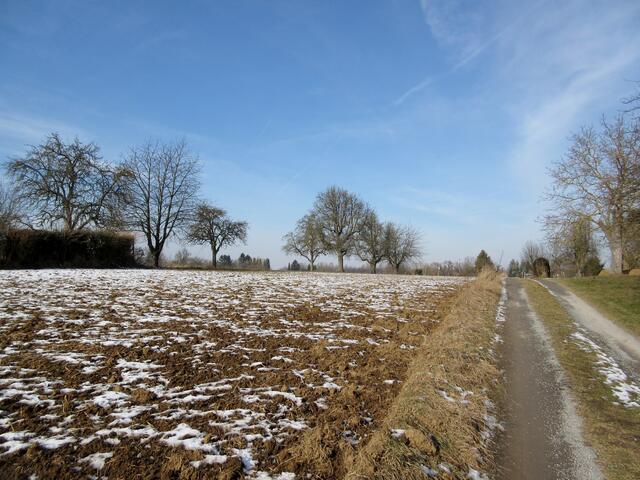 Mostbirnenweg 2017 im Januar