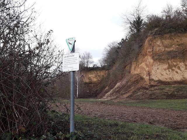 Etwas kurios - Schild steht noch, aber das Naturdenkmal wurde nie richtig ausgewiesen