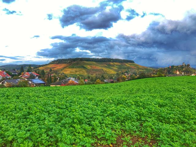 Der Wartberg im Herbst