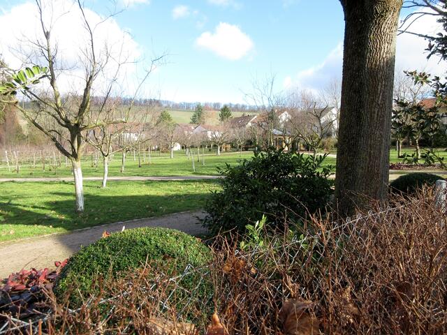 Über den Botanischen Obstgarten schweift das Auge noch einmal zurück zum Wartberg.