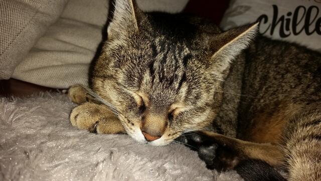 Jerry chillt