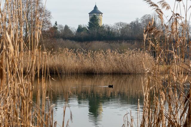 See im Ziegeleipark