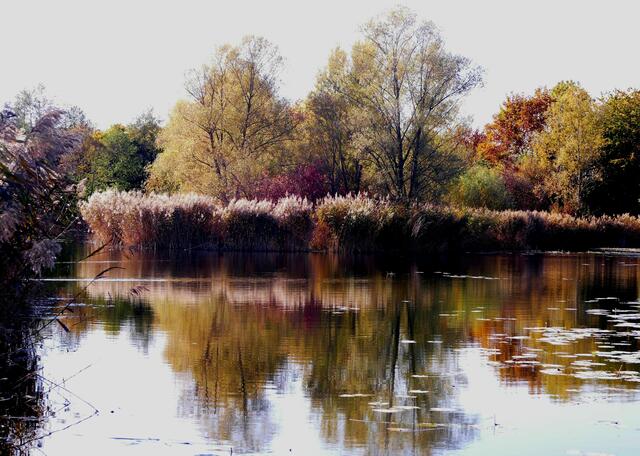 Ziegeleisee III
