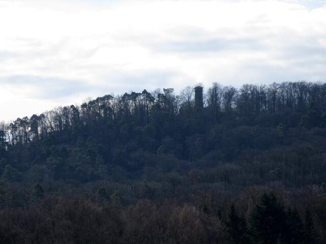 Blick hinüber zum Eselsbergturm. Der SAV Turm steht auf dem 392 m hohen Eselsberg, wo einst die Burg der Herren von Eselsberg stand. Da waren wir 2016 das erste Mal mit dem DAV.