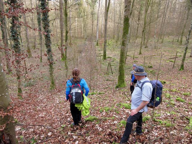 Der Märzenbecher-Wald ist erreicht.