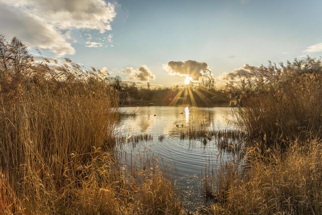Sonnenuntergang am Böckinger Ziegeleisee