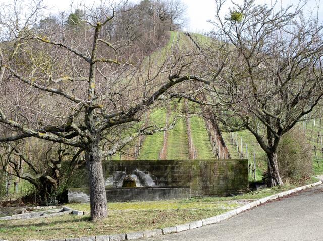 Blick zurück über den Brunnen am Egartenweg. Von dort oben ist die Gruppe abgestiegen.