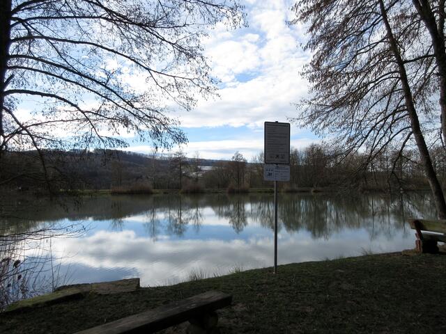Horrheimer Seewaldseen, das Wasser hat sehr gute Qualität und die Seen werden im Sommer als Badeseen genutzt.