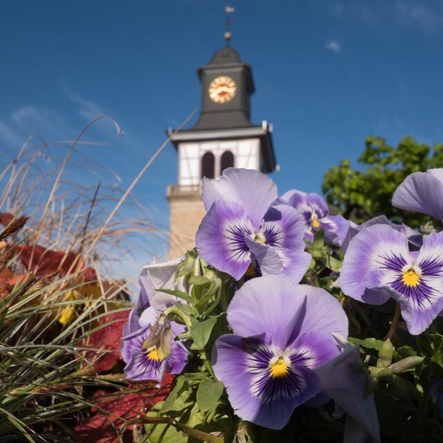 Frühling