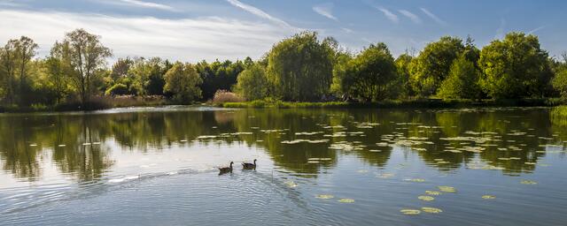 Idylle am Ziegeleisee
