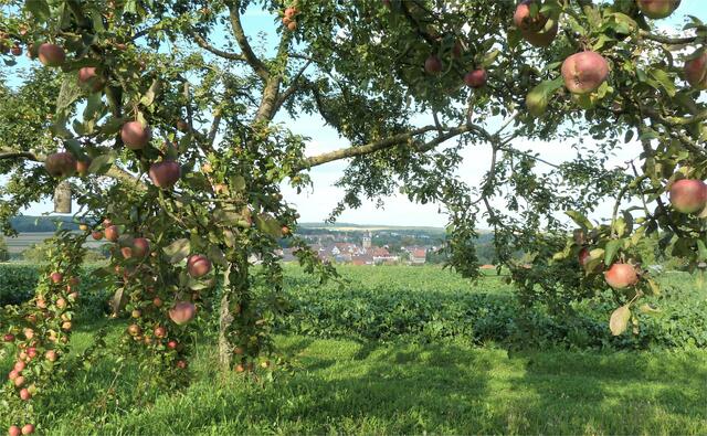 Herbst in Neuenstadt