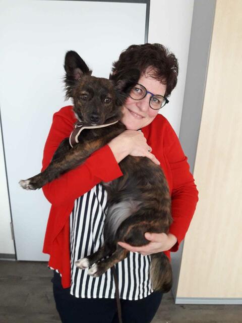Maggy hat Heimatreporterin Andrea Junker geholfen, gesund zu werden. | Foto: Andrea Junker