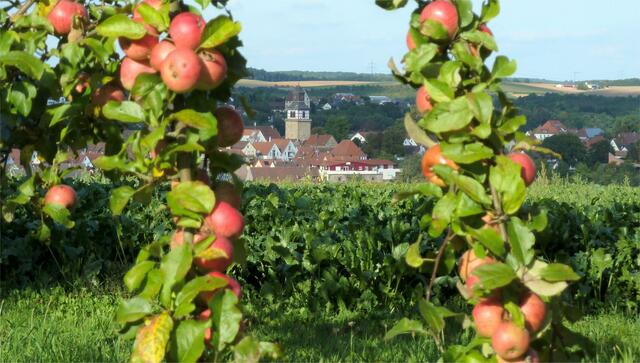 Herbst