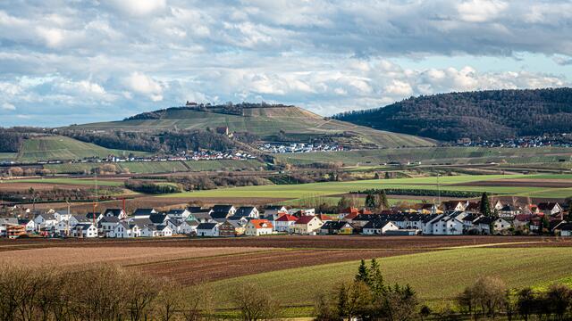 Güglingen, Neubaugebiet Herrenäcker Baumpfad    (24.2.2020)