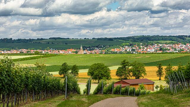 Güglingen, Blickrichtung Norden
