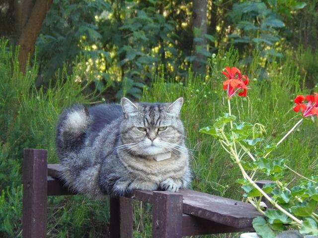 Die liebe Susi