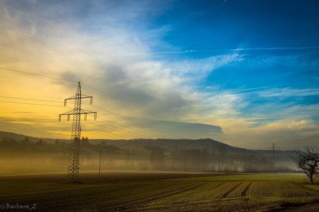 Nebel im Dezember 2019