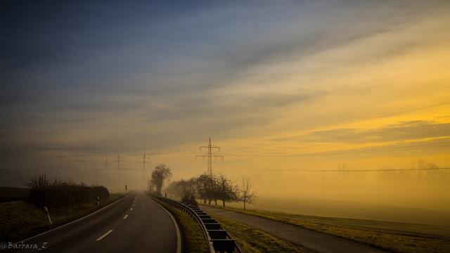 Nebel im Dezember 2019