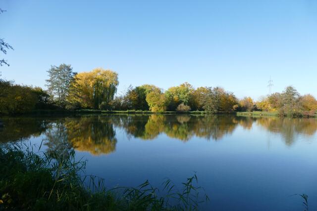 Steiner See