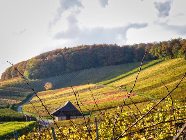 Idyllische alte Kelter in den Weinbergen Langenbeutingen