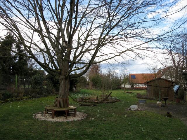 Der Pfarrgarten.