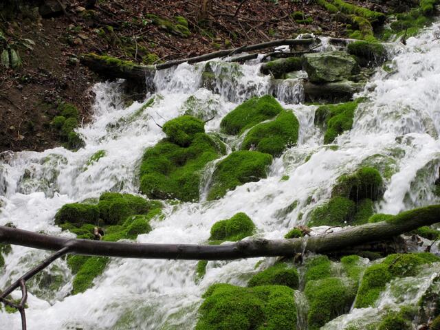 Wieder ein ganz anderes Bild und wieder ein Wasserfall, nun im Rötelbachtal.