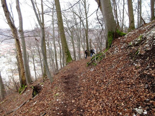 Sehr naturnah gestaltete sich der Abstieg hinunter nach Geislingen. Da eine Treppe gesperrt war, musste ein Trampelpfad gefunden werden.