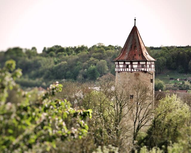 Der Götzenturm zu Möckmühl