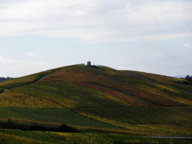 Sontheimer Staufenberg im Herbst