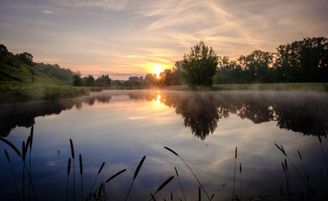 Kennen Sie schon das Wasserloch in Klingenberg? - Dieses Foto vom Heilbronner Süden hat Heimatreporter Raphael Stadtmüller hochgeladen. | Foto: Raphael Stadtmüller