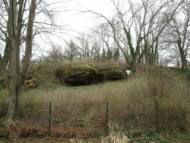 Naturdenkmal Nagelfluhbank in Sontheim