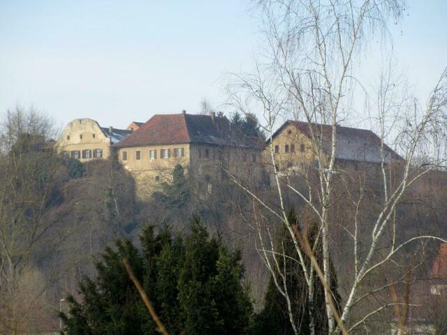 Klingenberger Schloss, Ansicht von der Horkheimer Insel