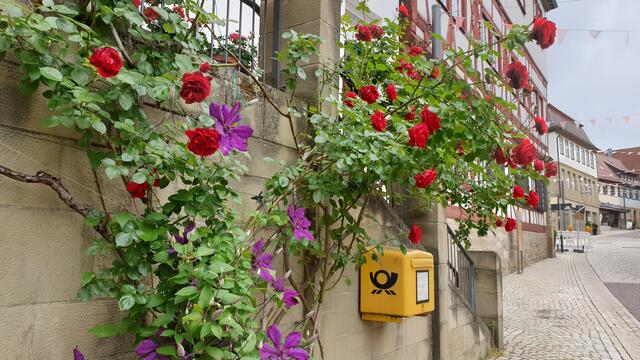 Neuenstein beim Rathaus in der Schlossstraße