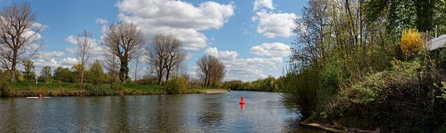 Mündung der Schozach in den Neckar (Sontheim)