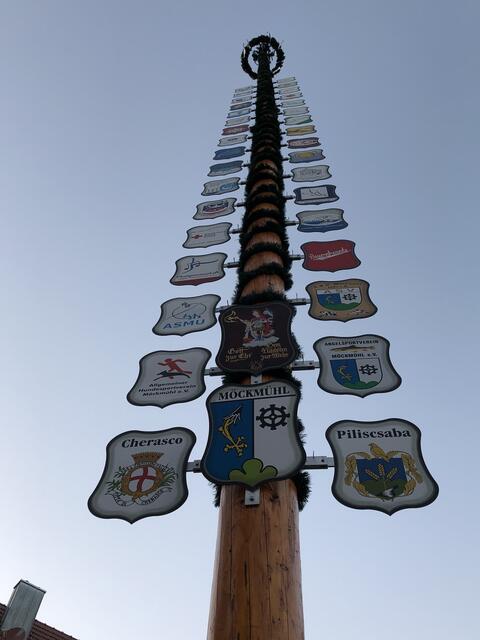 Vereins- und Maibaum