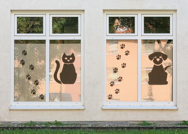 Tierärztin in Sontheim