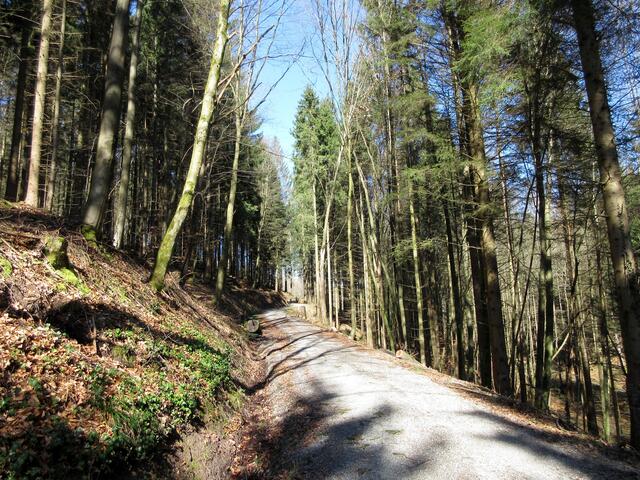 Im Heilbronner Landkreis gibt es schon wunderschöne Wanderwege, in den Bergen ist das auch nicht anders. So hatten wir zwei herrlich entspannte Stunden.
