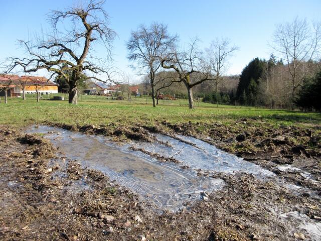 1,5 Grad und herrlicher Sonnenschein am Sonntag-Vormittag. Die Nacht war sehr kalt und aus der Nähe von Calw/Schömberg haben uns die ersten Bilder mit Sonnenschein über schneebedeckten Feldern erreicht.